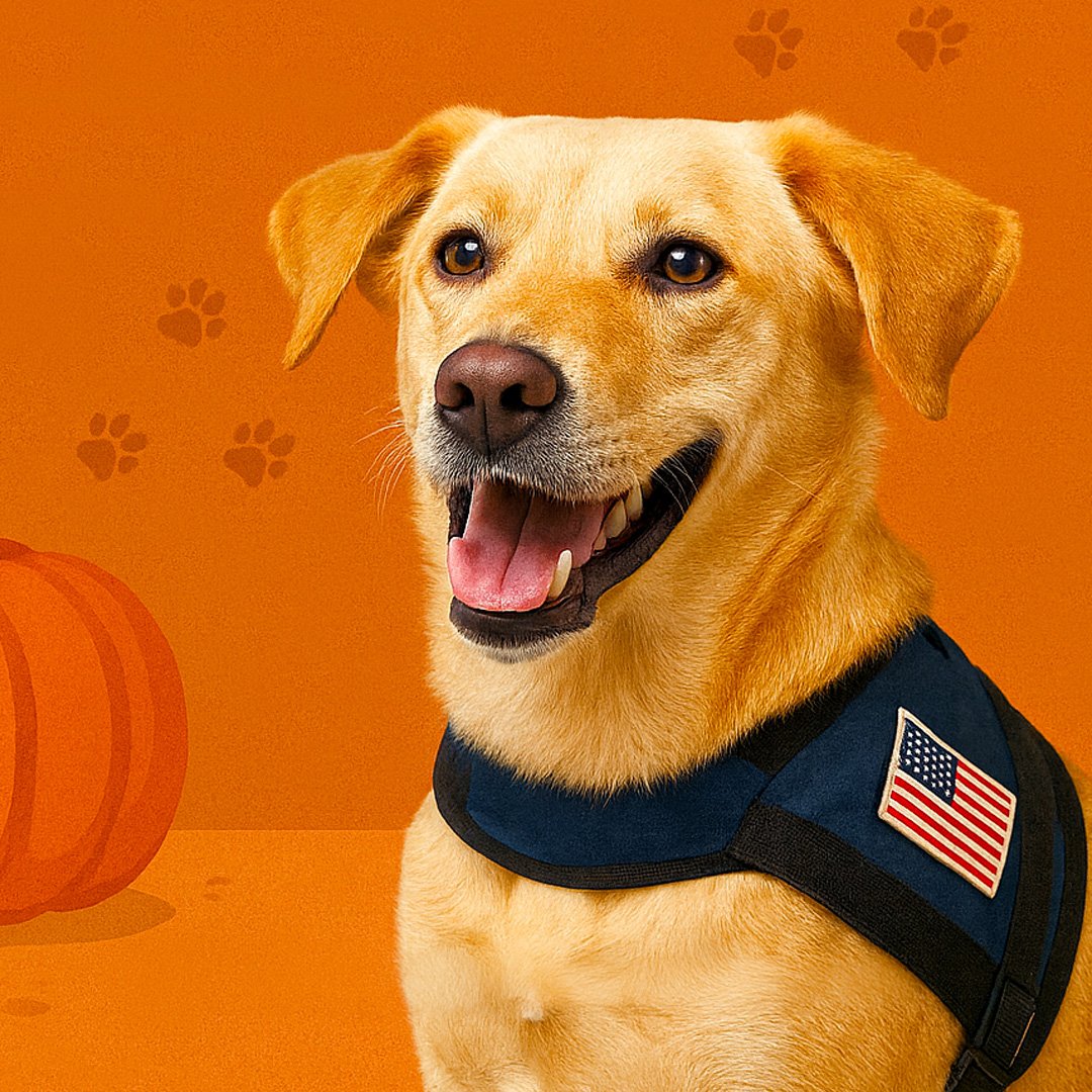 Shelter to Service Dog